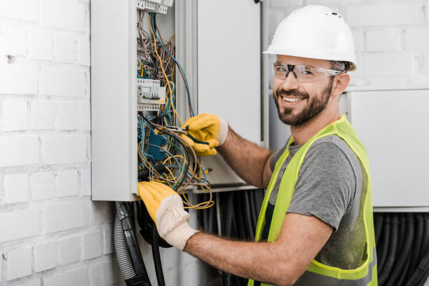 Best Electric Panel Repair  in Riverton, IL