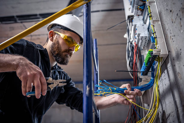 Best Electrical Repair Services  in Riverton, IL