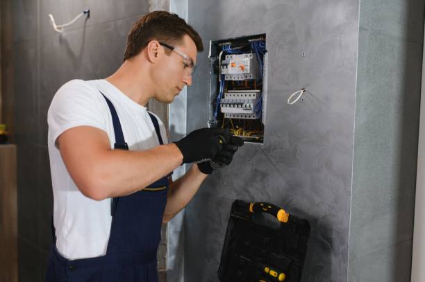 Best Ceiling Fan Installation Electrician  in Riverton, IL